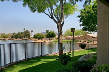 Landscaping at Haven at Arrowhead Apartments in Glendale Arizona 2021 2